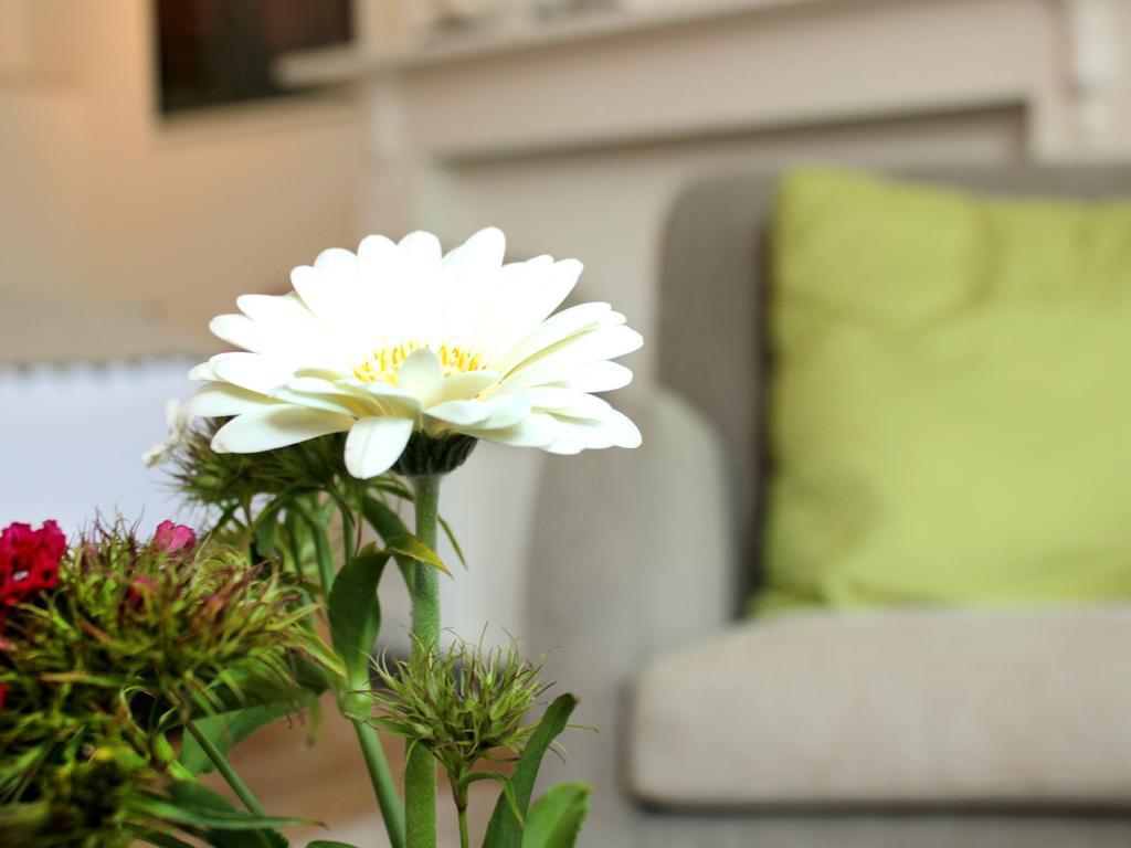 B&B Alphabet - Luxury Guesthouse And Art Gallery Bruggy Pokoj fotografie